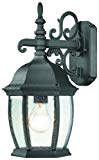 Thomas Lighting SL92287 Covington Outdoor Wall Lantern, Black For Sale