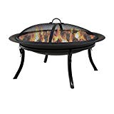 Sunnydaze Portable Fire Pit Bowl with Spark Screen and Carrying Case, Folding Outdoor Patio and Camping Wood Burning Fireplace, 29 Inch Sunnydaze Portable Fire Pit Bowl with Spark Screen and Carrying Case, Folding Outdoor Patio and Camping Wood Burning Fireplace, 29 Inch