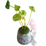 Cheap JoyTech Creative Mushroom Potted Small Night Light Resin LED Lamp Light Sensor for Avatar (Gray Stone) J001-2