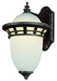 Trans Globe Lighting PL-5111 AP Antique Pewter Outdoor Wall Light
