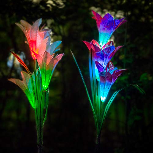 FC-Fancier Solar Lights Outdoor  New Upgraded Solar Garden Lights, Multi-Color Changing Lily Solar Flower Lights for Patio,Yard Decoration(2 Pack, Red and White) Review