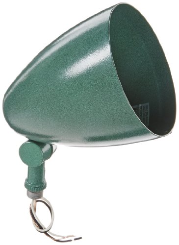 RAB Lighting HB101VG Bullet Shape Par Floodlight, PAR38 Type, Aluminum, 150W Power, Verde Green