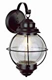 Cheap Trans Globe Lighting 69901 BK Outdoor Catalina 15″ Wall Lantern, Black