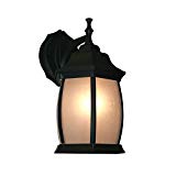 Z-Lite T20-BK-F 1-Light Outdoor Wall Light with Metal Frame, Seedy White