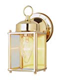 Trans Globe Lighting 4045 BN Outdoor Century 9″ Wall Lantern, Brushed Nickel Review