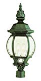Trans Globe Lighting 4062 RT Outdoor Parsons 28″ Postmount Lantern, Rust Review