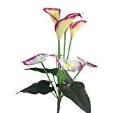 Cheap Solar Calla Lily, Solar Lights, Decorative Garden Lights