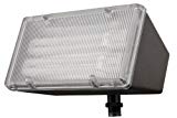 Lithonia Lighting OFL 213F 120 LP BZ M4 Mini-Flood Light with Two 13-Watt 2700K Compact Quad-Tube Fluorscent Lamps, Black Bronze Review
