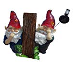 GSL SS-GSL-F0021 Gnomes No Speak, No See, Solar Light