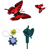 HQRP Twin Solar Butterfly Flying Fluttering Powered by Sun or AA Battery for Outdoor decor + HQRP UV Chain (Red Swallowtail) Review HQRP Twin Solar Butterfly Flying Fluttering Powered by Sun or AA Battery for Outdoor decor + HQRP UV Chain (Red Swallowtail) Review