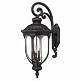 Cheap Acclaim 2222BC Laurens Collection 3-Light Wall Mount Outdoor Light Fixture, Black Coral