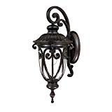 Cheap Acclaim 2112MM Naples Collection 1-Light Wall Mount Outdoor Light Fixture, Marbleized Mahogany