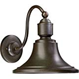 Mill & Mason Kentfield Rubbed Bronze 16-Inch One-Light Outdoor Gooseneck Wall Mount For Sale