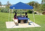 Cheap Sport Canopy, 8×8 x 102″ H, Blue
