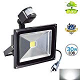 30W Cool White Motion Sensor Flood Light,for Driveway, Garage, Pathway, Car Park, Forecourt Porch, Entryways Driveway, Waterproof Floodlight Outdoor Security Motion Light Plug in with US 3-Plug