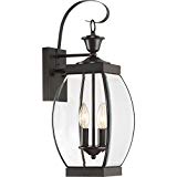 Cheap Quoizel OAS8408Z 2-Light Oasis Outdoor Lantern in Medici Bronze Cheap Quoizel OAS8408Z 2-Light Oasis Outdoor Lantern in Medici Bronze