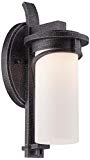 Minka Lavery 8151-568-L Holbrook LED Outdoor Lantern, Forged Stone Silver Finish Review