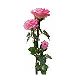 LIEYANG Solar Power 3 LED Pink Rose Flower Light Garden Waterproof Lamp Pink For Sale LIEYANG Solar Power 3 LED Pink Rose Flower Light Garden Waterproof Lamp Pink For Sale