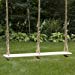 Double Child Tree Swing (33