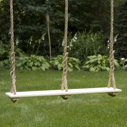 Double Child Tree Swing (33