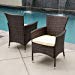 Christopher Knight Home 295968 Clementine Outdoor Multibrown PE Wicker Dining Chairs