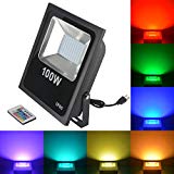 RSN LED Flood Light 100W 5050 RGB Multi Color Changing IP65 Waterproof with US-Plug for Garden Home Yard Hotel Pathways (100W RGB) For Sale
