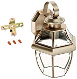 Cheap Trans Globe Lighting 4310 BN Outdoor Courtyard 13″ Wall Lantern, Brushed Nickel