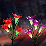 Cheap New Solar Lights Outdoor – Solar Garden Stake Lights with Wider Solar Panel, Multi-Color Changing LED Lily Flower Lights for Patio,Backyard, Garden Decoration (2 Pack,Red and Purple) Cheap New Solar Lights Outdoor – Solar Garden Stake Lights with Wider Solar Panel, Multi-Color Changing LED Lily Flower Lights for Patio,Backyard, Garden Decoration (2 Pack,Red and Purple)