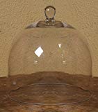 Large Bell Jar 11 1/2 Large Bell Jar 11 1/2