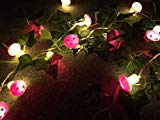 Cheap Sunniemart 20 LED Warm White String Light Battery Operated Mushroom Fairy Lights for Christmas, Wedding, Party Decoration