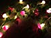 Sunniemart 20 LED Warm White String Light Battery Operated Mushroom Fairy Lights for Christmas, Wedding, Party Decoration