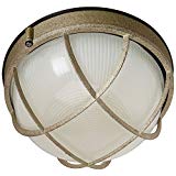 Philips Forecast F9039665NV Oceanview outdoor wall lantern, Silver Rust Review