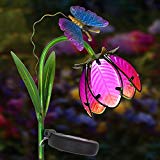 Cheap Homeimpro Garden Solar Lights Pathway Outdoor Flower Stake Metal Lights,Waterproof Warm White LED for Lawn,Patio or Courtyard (Pink)