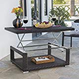Great Deal Furniture Lanie Outdoor Multibrown Wicker Aluminum Framed Lift Top Coffee Table Review