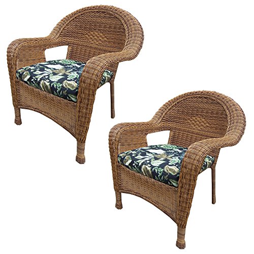 Oakland Living 2-Pack Resin Wicker Arm Chair with Cushion, Natural