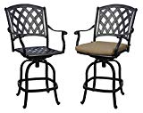 Darlee 201630-7CH-2 Cast Aluminum Swivel Counter Height Bar Stool & Seat Cushion (Set of 2), Antique Bronze Review