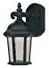Designers Fountain LED2771-DWD Abbington-LED Wall Lanterns, Driftwood
