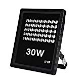 Cheap LED Flood Light,chunnuan, 30W,3000LM,6000K (Cold White), IP67 Waterproof Spotlight Floodlight, Outdoor Security Lights For Garage,Garden,Yard Landscape Super Bright 110V (30W new)