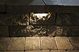 Wall Eye II – 12 volt WARM (3000 K) 2 watt CMD Flat LED – Low-Voltage Landscape Light for Retaining Wall, Column & Stair Night Time Safety Illumination – Brown Powder Coated Housing