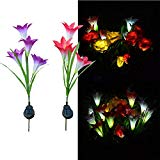 Solar Light, Hatop 4 Heads Flower Lily Solar Lantern Lawn LED Garden Outdoor Decorative Review