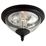 Sea Gull Lighting 88068746 Outdoor Wall Lantern Review Sea Gull Lighting 88068746 Outdoor Wall Lantern Review