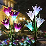 Solar Garden Stake Lights Outdoor with 8 Lily Flower, New Upgraded Multi-Color Changing, Bigger Solar Panel Longer Battery Life LED Decorative Lights for Path, Yard, Patio (2 Packs, Purple and White) Review Solar Garden Stake Lights Outdoor with 8 Lily Flower, New Upgraded Multi-Color Changing, Bigger Solar Panel Longer Battery Life LED Decorative Lights for Path, Yard, Patio (2 Packs, Purple and White) Review