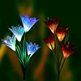LED Solar Garden Lights LED Solar Powered Garden Stake Lights Outdoor Path Lights with 8 Lily Flower, Multi color Changing for Garden Patio Backyard, Denknova (2 Packs Purple and White) Review