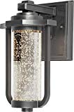 Artcraft Lighting North Star Outdoor LED Wall Mount Porch Light, Silver Review