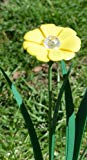 Cheap Yellow Trumpet Flower Solar Light