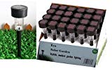 Eco Garden Brand 24 Outdoor Garden LED Solar Path Landscape Light Large 62mm Black Color For Sale