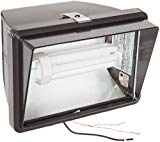 RAB Lighting FF42QT Compact Fluorescent Future Floodlight Lamp, Aluminum, 42W Triple Power, 3200 Lumens, 120/208/240/277V, Bronze Color