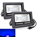 Cheap Ustellar 2 Pack 30W Blue LED Flood Light, IP66 Waterproof, 2100lm, Outdoor Floodlight Landscape Wall Washer Light for Christmas Decoration Garden Yard Lawn, Stage Lighting with US 3-Plug