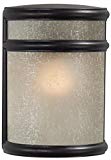 Minka Lavery Outdoor Wall Light 9811-166 Delshire Point Exterior Pocket Sconce Lantern, 60 Watts, Bronze