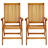 LuuNguyen Tullamore Outdoor Hardwood 5 Positions Reclining Folding Arm Chair (Natural Wood Finish), Set of 2
